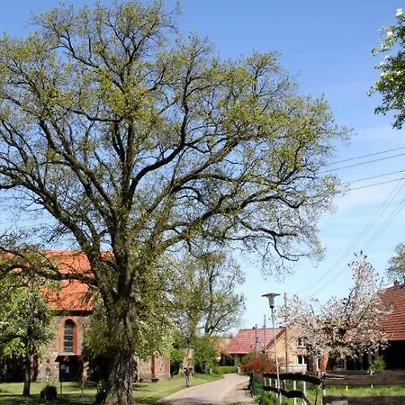 Apartment Guelitzer Gulitz