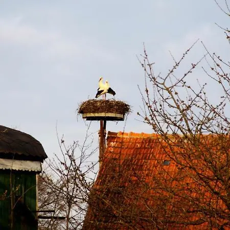 Guelitzer Landhaus * Gulitz